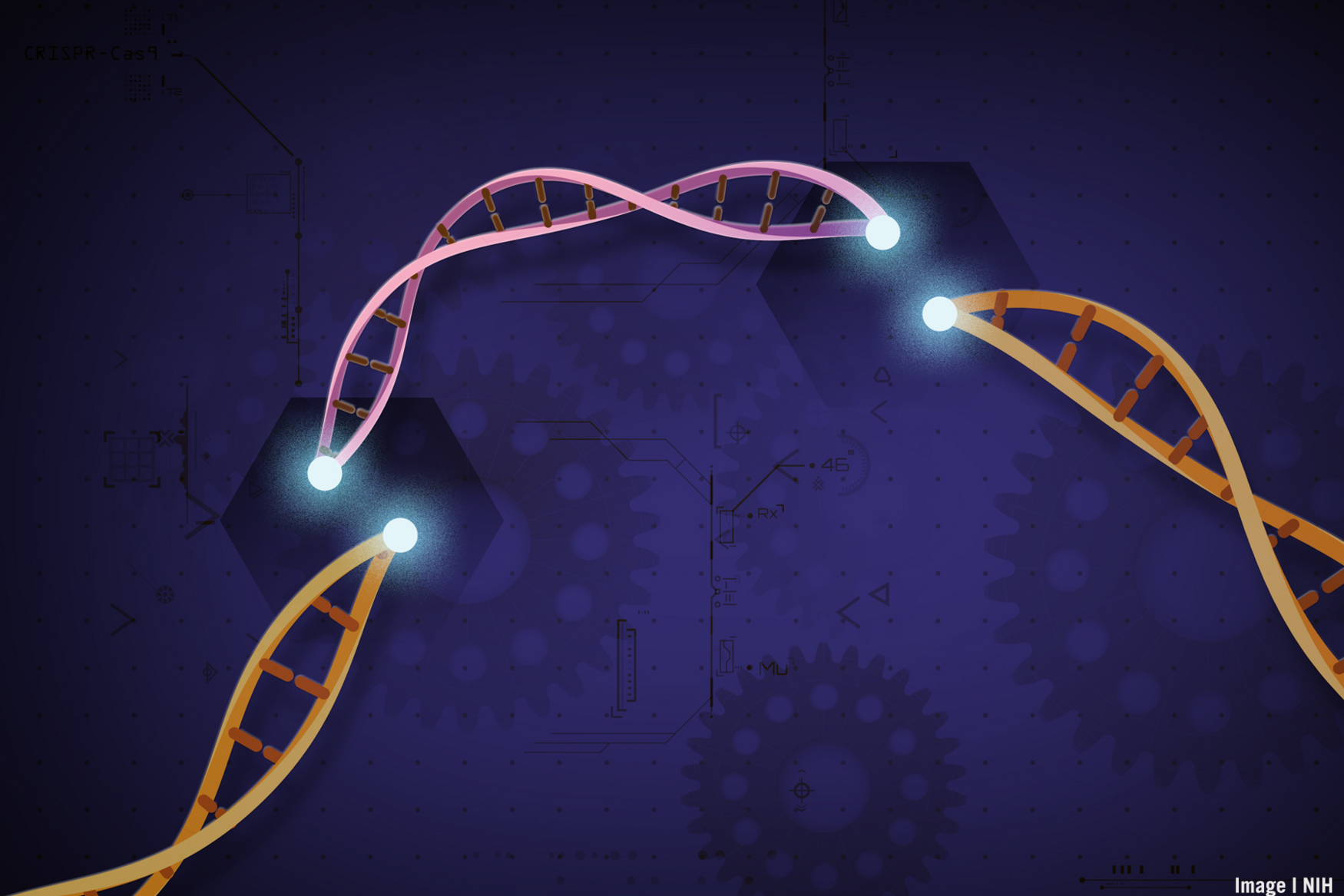 illustration of DNA helix cut into fragments